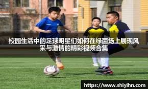 博彩行业的利润分配机制（博彩业利润分配模式）